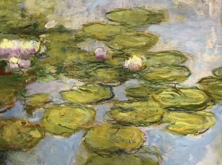 Monet-water-lilies